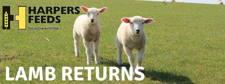 Harpers_Feeds_Sheep_Blog.png