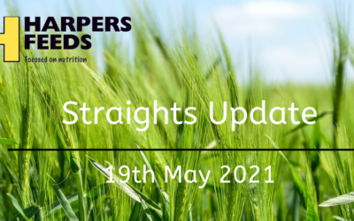 Straights Update 19th May 2021