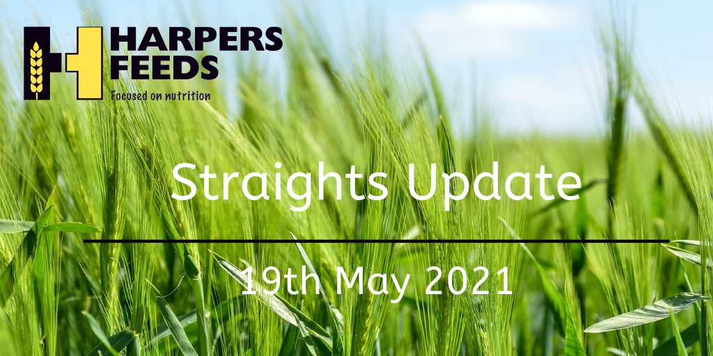 Straights Update 19th May 2021