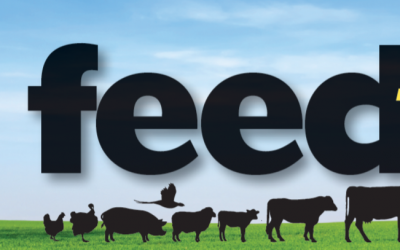 Feedtalk – February