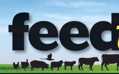 Feedtalk – June