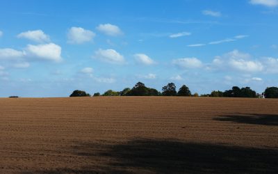 Know your soil