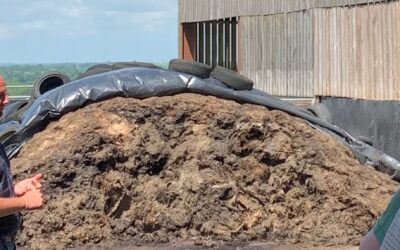 Making fertiliser with your farmyard manure