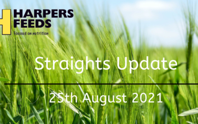 Straights Update 25th August 2021