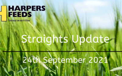 Straights Update 24th September 2021