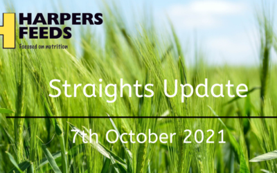 Straights Update 7th October 2021