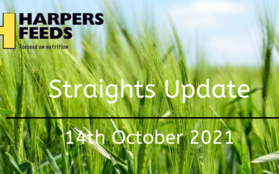 Straights Update 14th October 2021