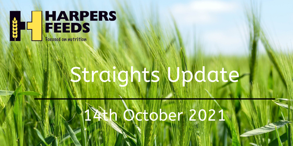 Straights Update 14th October 2021