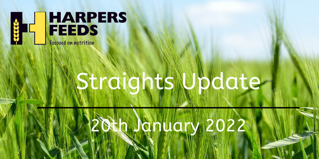 Straights Update 20th January 2022