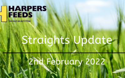 Straights Update 2nd February 2022