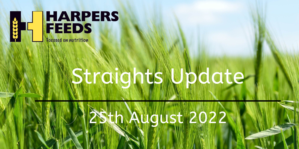 Straights Update 25th August 2022