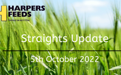 Straights Update 5th October 2022