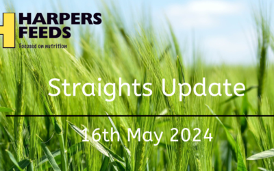 Straights Update 16th May 2024