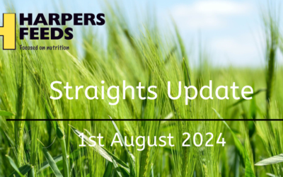 Straights Update 1st August 2024